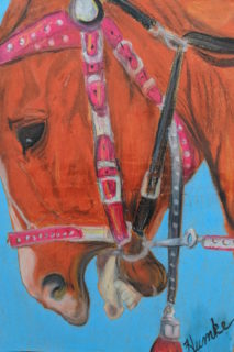 craypas horse, brown