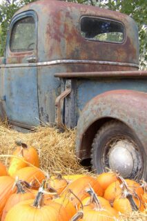 Old Truck with Pumpkins