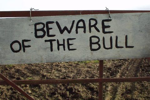 beware of bull