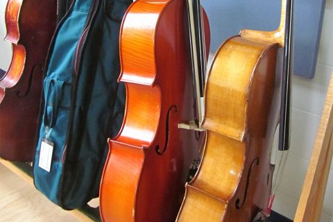 cellos